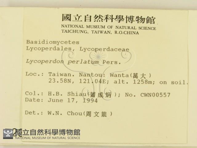 登錄號:F0002302藏品圖，第2張