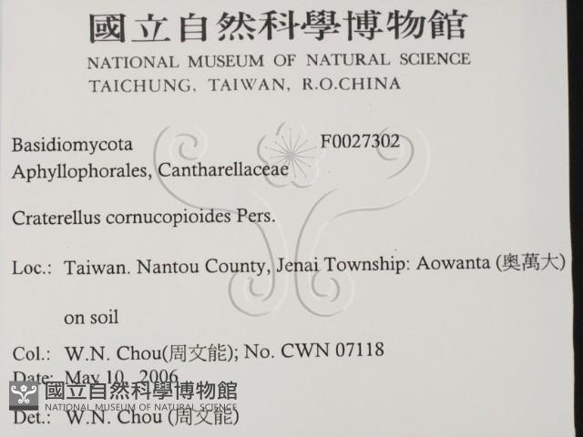 登錄號:F0027302藏品圖，第2張