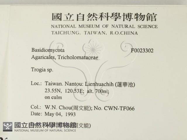登錄號:F0023302藏品圖，第2張