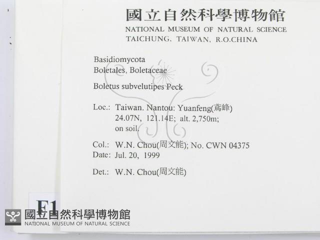 登錄號:F0013302藏品圖，第2張