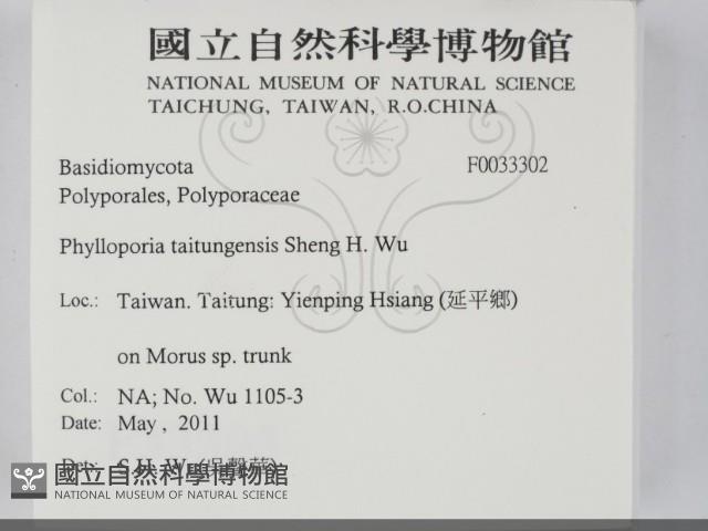 登錄號:F0033302藏品圖，第2張