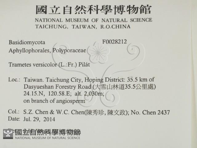 雲芝藏品圖，第2張