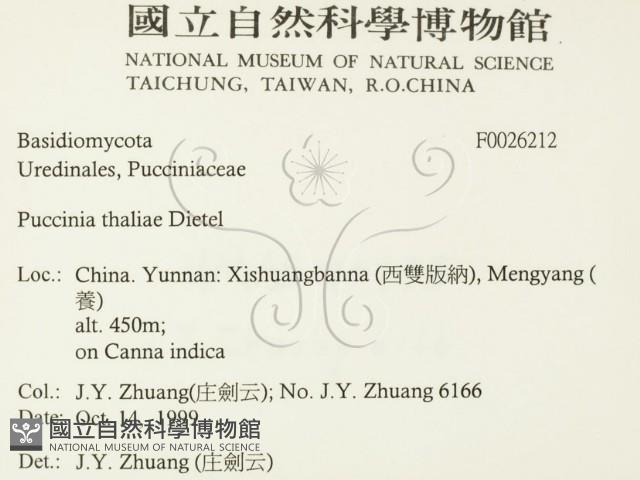 登錄號:F0026212藏品圖，第2張