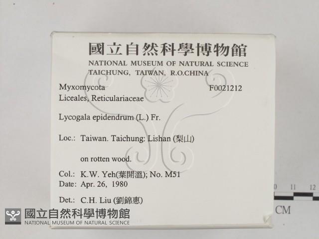 登錄號:F0021212藏品圖，第2張
