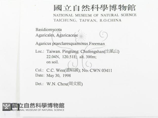 登錄號:F0011212藏品圖，第2張