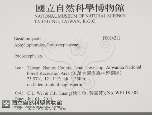 登錄號:F0034212藏品圖，第2張