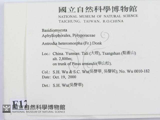 登錄號:F0012212藏品圖，第2張