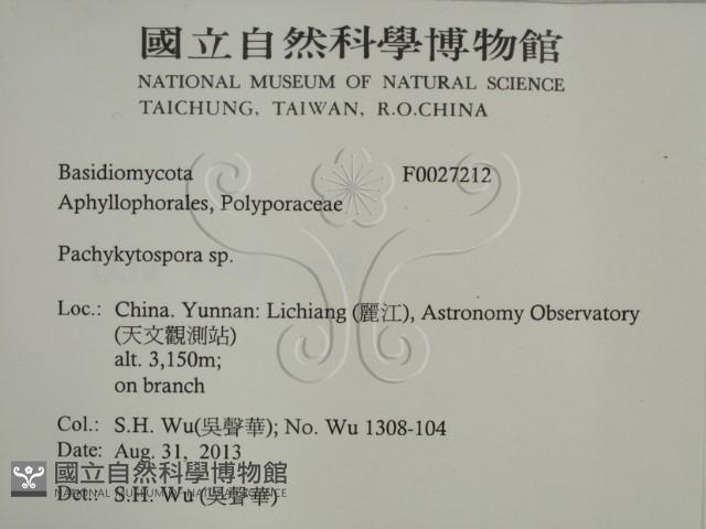 登錄號:F0027212藏品圖，第2張