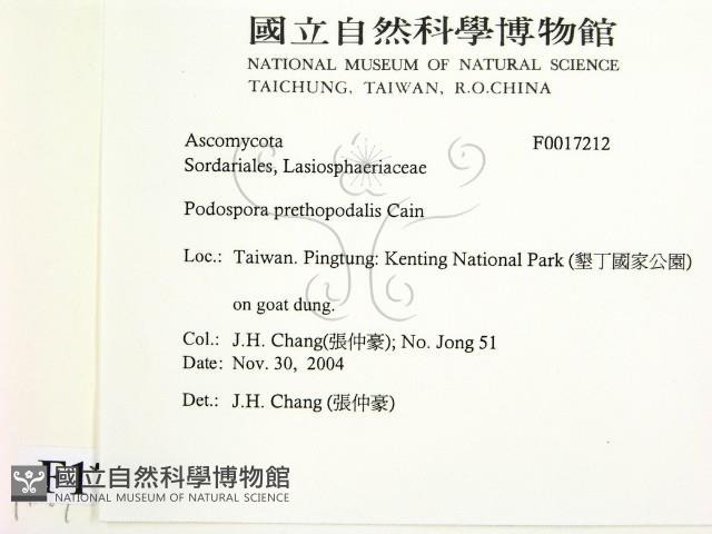 登錄號:F0017212藏品圖，第2張