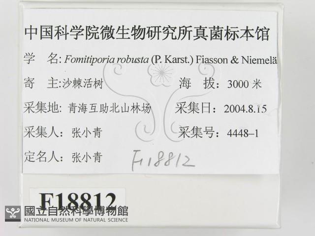 登錄號:F0018812藏品圖，第2張