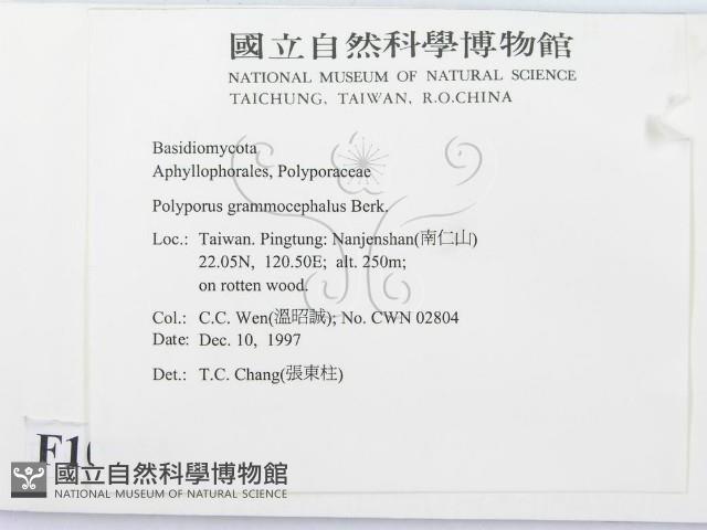 登錄號:F0010812藏品圖，第2張