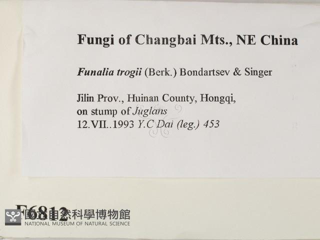 登錄號:F0006812藏品圖，第2張