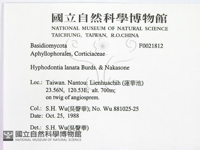 登錄號:F0021812藏品圖，第2張