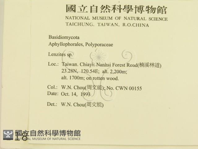 登錄號:F0001812藏品圖，第2張