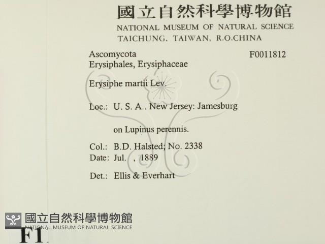登錄號:F0011812藏品圖，第2張
