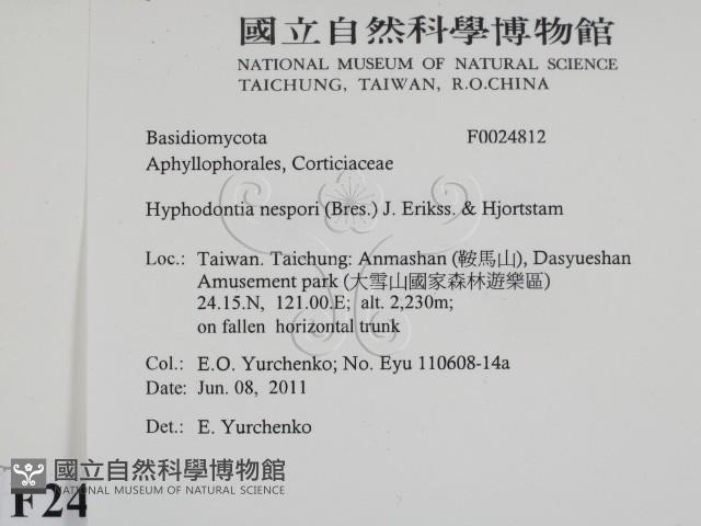 登錄號:F0024812藏品圖，第2張