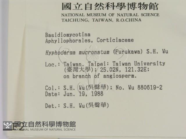 登錄號:F0002812藏品圖，第2張
