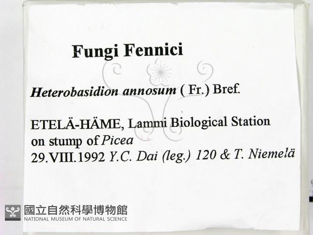 登錄號:F0005812藏品圖，第2張