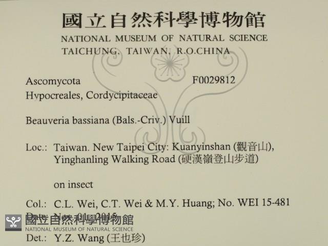 登錄號:F0029812藏品圖，第2張