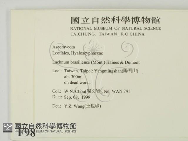 登錄號:F0009812藏品圖，第2張