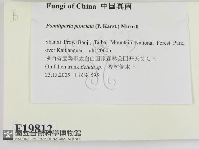 登錄號:F0019812藏品圖，第2張