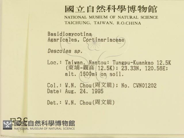 登錄號:F0003812藏品圖，第2張