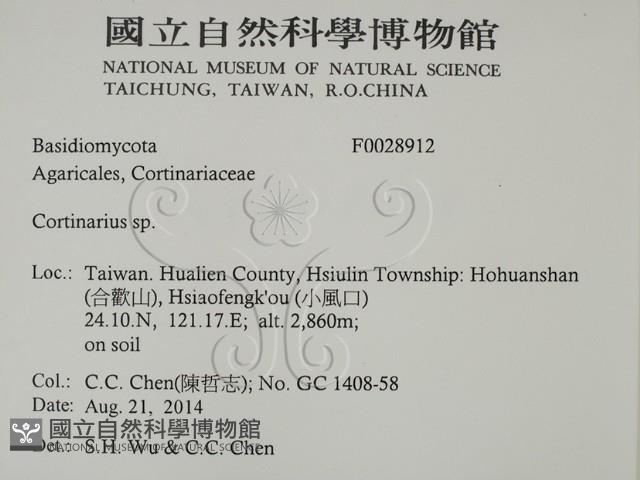 登錄號:F0028912藏品圖，第2張