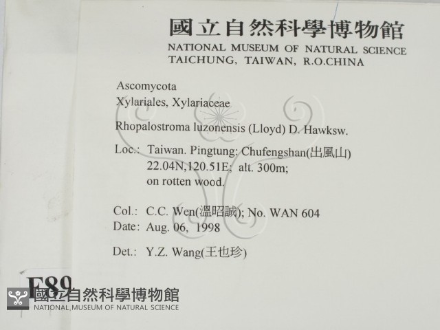 登錄號:F0008912藏品圖，第2張