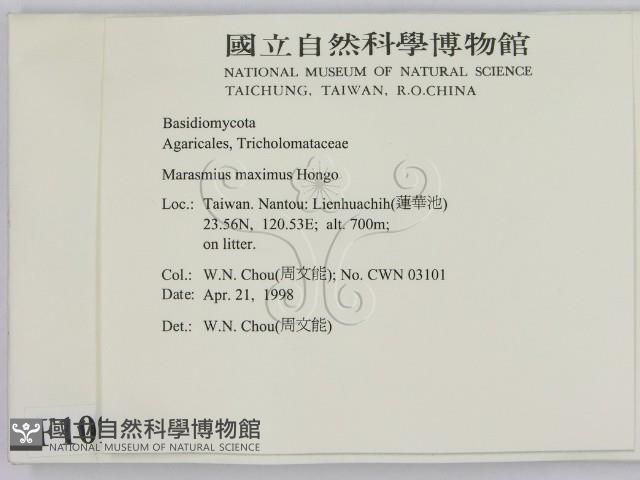 登錄號:F0010912藏品圖，第2張