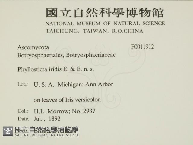 登錄號:F0011912藏品圖，第2張