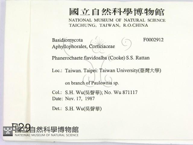 登錄號:F0002912藏品圖，第2張