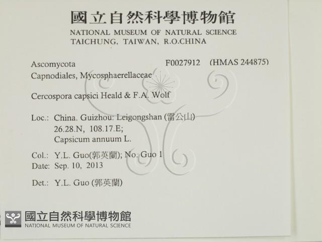 登錄號:F0027912藏品圖，第2張