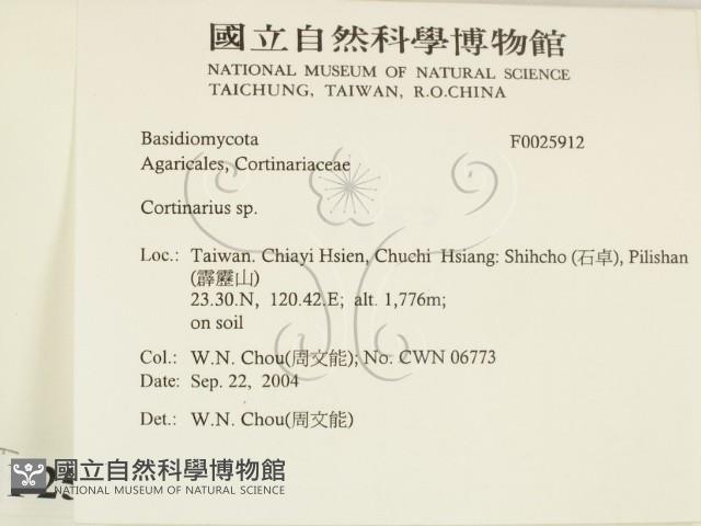 登錄號:F0025912藏品圖，第2張