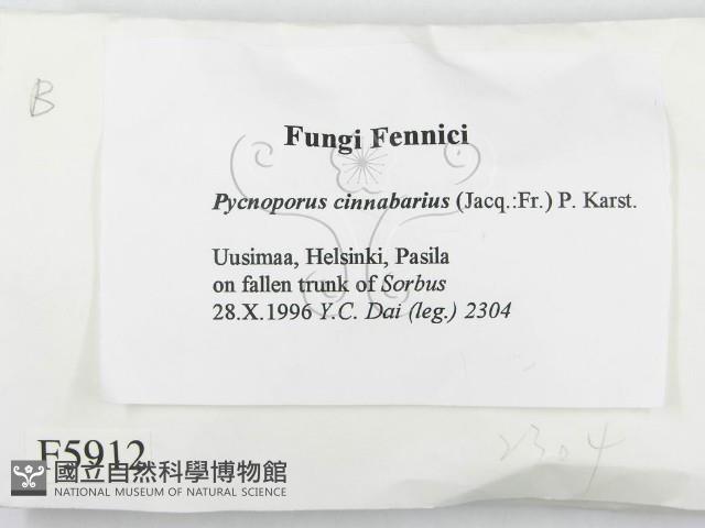 登錄號:F0005912藏品圖，第2張