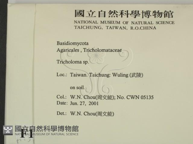 登錄號:F0015912藏品圖，第2張