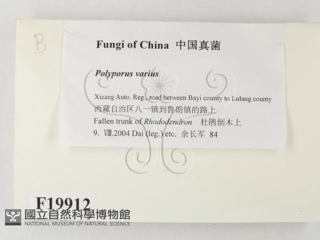 登錄號:F0019912藏品圖，第2張