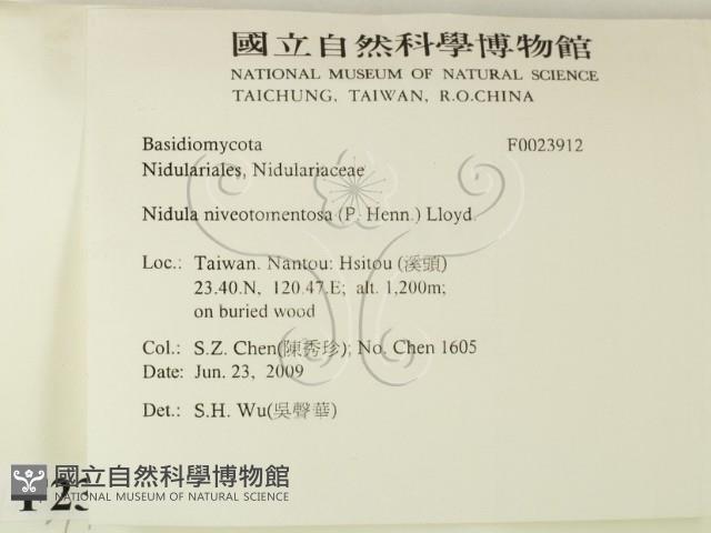 登錄號:F0023912藏品圖，第2張