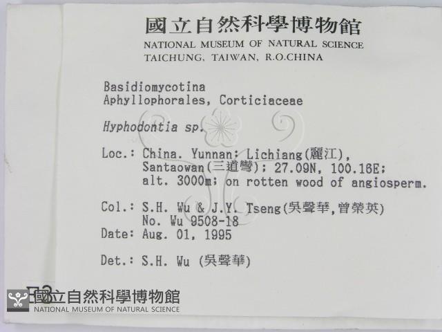 登錄號:F0003912藏品圖，第2張