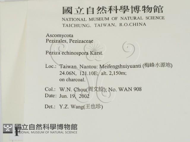 登錄號:F0013912藏品圖，第2張