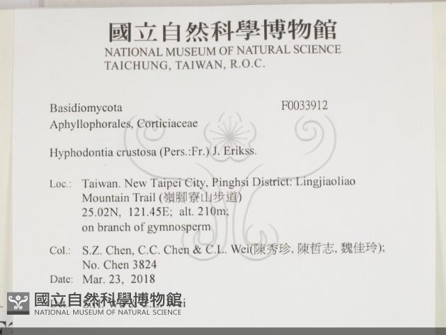 館號:F0033912藏品圖，第2張