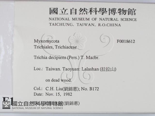 登錄號:F0018612藏品圖，第2張