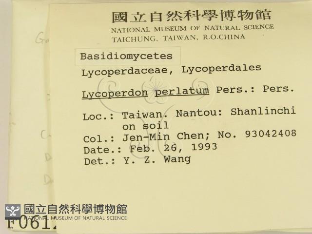 登錄號:F0000612藏品圖，第2張