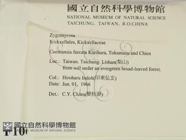 登錄號:F0010612藏品圖，第2張