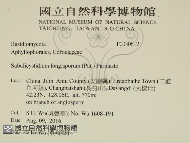 登錄號:F0030612藏品圖，第2張