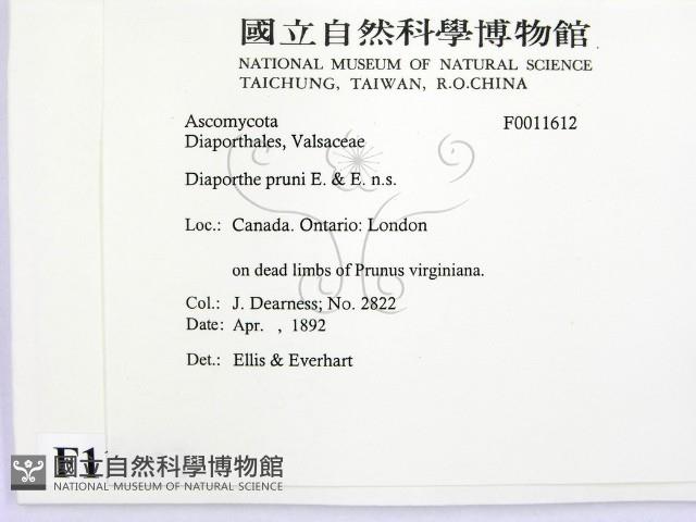 登錄號:F0011612藏品圖，第2張
