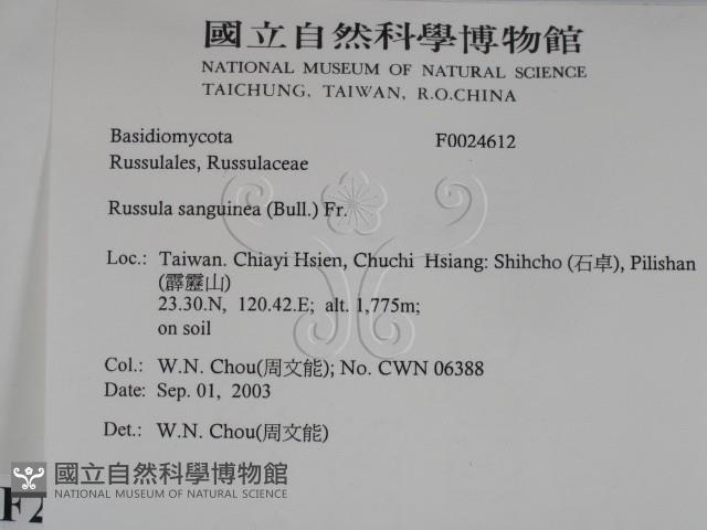 登錄號:F0024612藏品圖，第2張