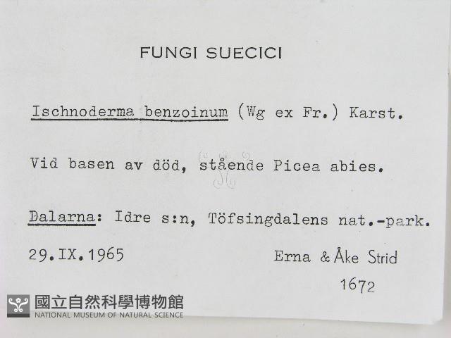 登錄號:F0004612藏品圖，第2張