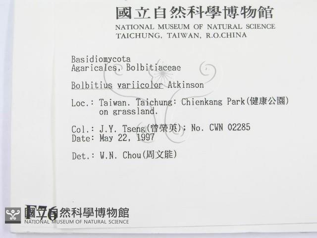 登錄號:F0007612藏品圖，第2張