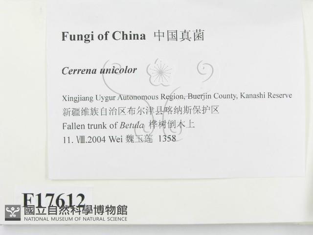 登錄號:F0017612藏品圖，第2張