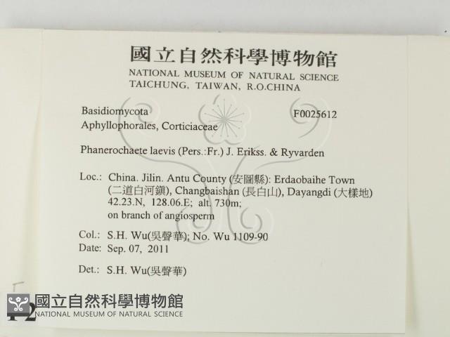 登錄號:F0025612藏品圖，第2張